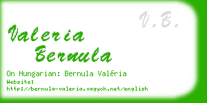 valeria bernula business card